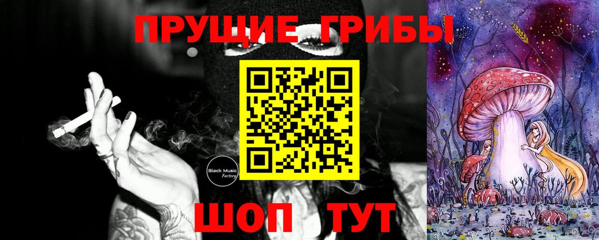 Галлюциногенные грибы Psilocybine cubensis Кулебаки
