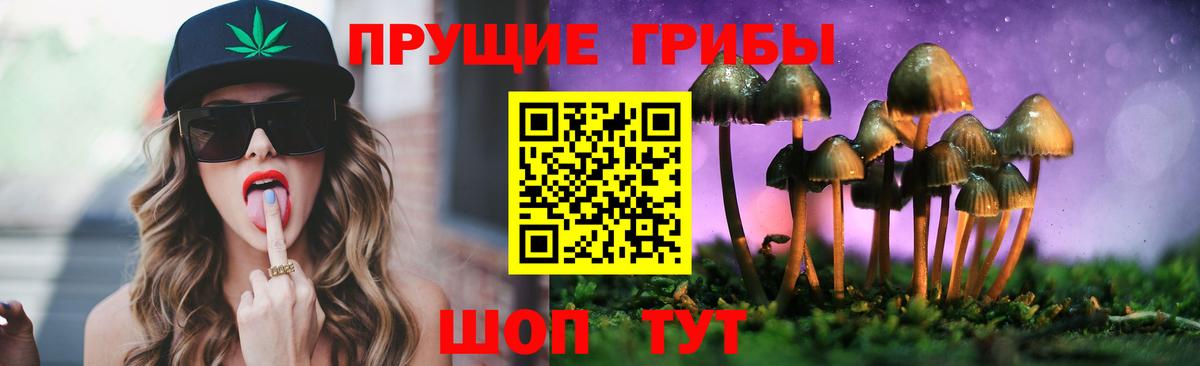 Кулебаки  Галлюциногенные грибы GOLDEN TEACHER  Галлюциногенные грибы MAGIC MUSHROOMS  Вход с VPN 